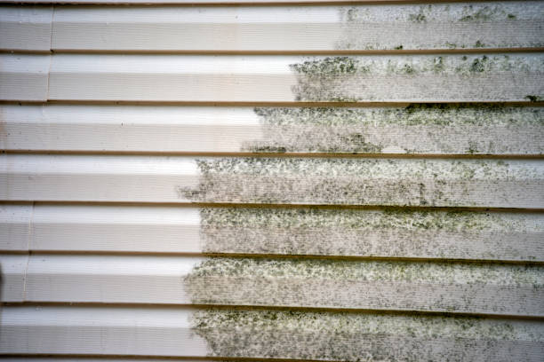 How To Choose The Right Materials for Your Siding Installation in 'Sweeny, TX