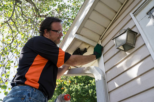 Best Steel Siding Installation  in Sweeny, TX